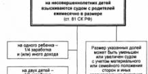 Алименты на двух детей от разных браков – условия и размеры выплат